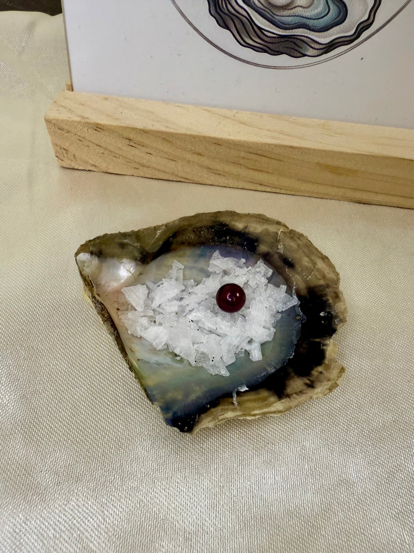 Christmas Pearl Party Bag