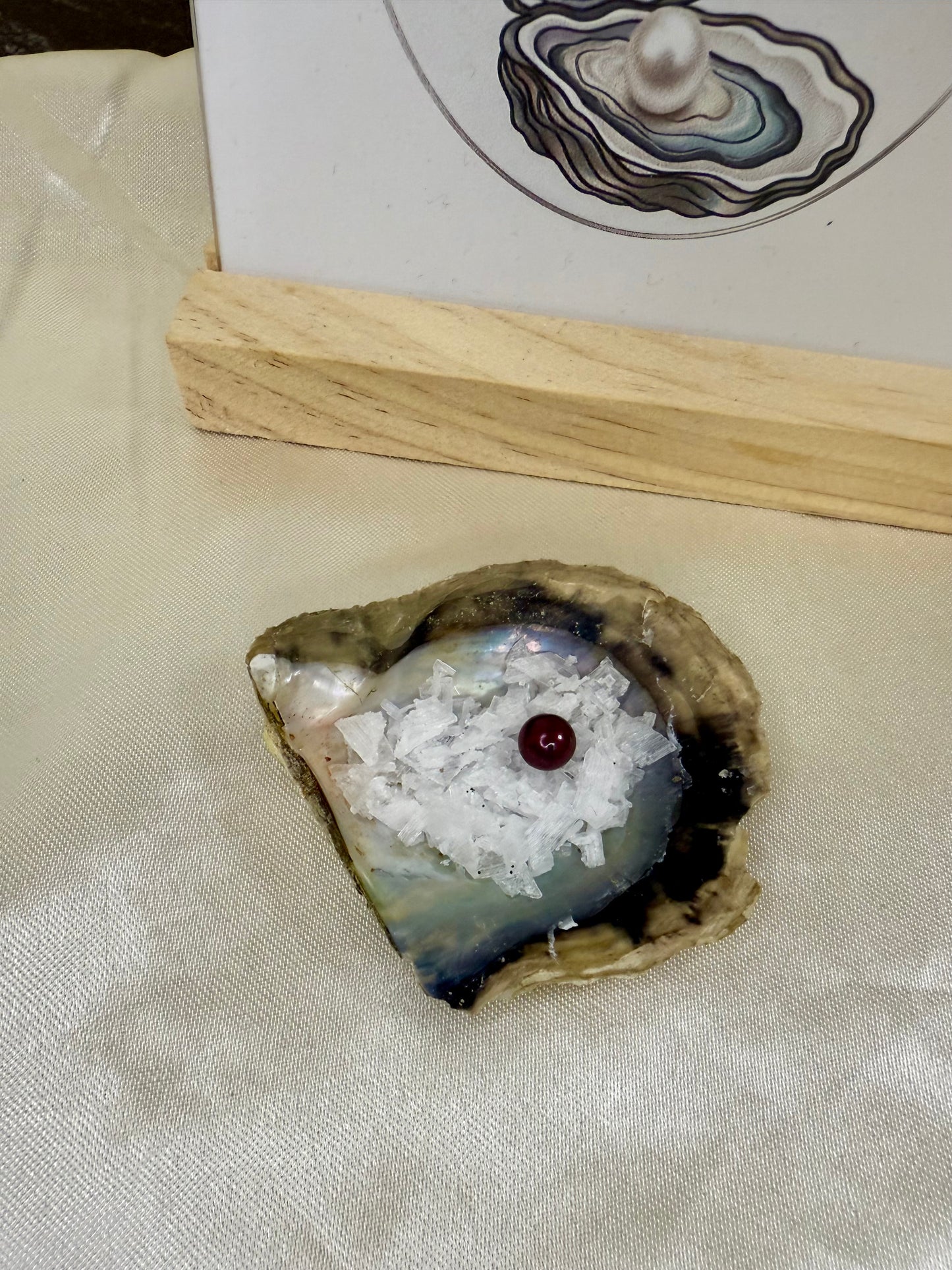 Mystery Christmas Pendant - includes red Christmas Pearl