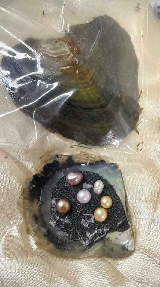 Mini Monster Oysters