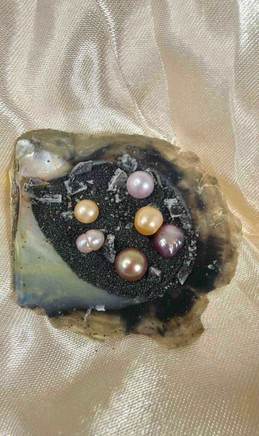 Mini Monster Oysters