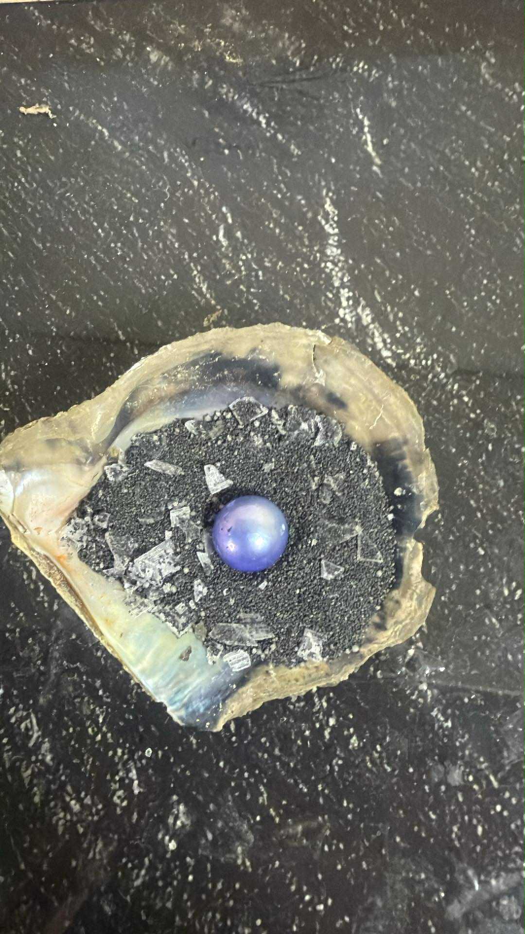 Purple & Silver Wonky Edison Freshwater Pearl