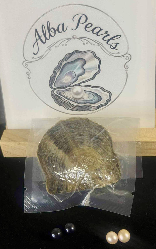 Natural Freshwater Pearl Twin Oyster