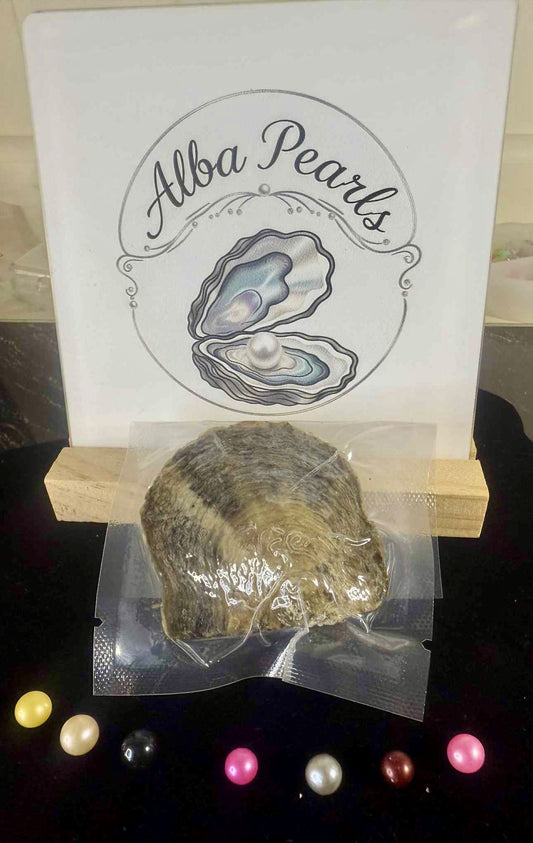 Natural Freshwater Pearl single Oyster