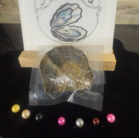 Natural Freshwater Pearl tray of 5 rounds